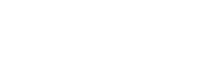 The Donna Breslow Foundation logo white